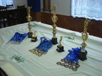 /album/finais-feminino-copa-pr-clube/dsc07914-jpg/
